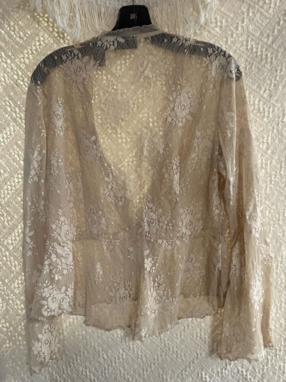 New York & Company Sheer Lace Tie-Front Top in Champagne Beige - Picture 2 of 5